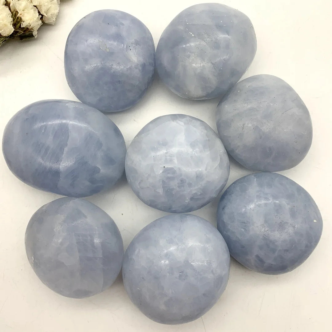 40665852543051|40665852575819