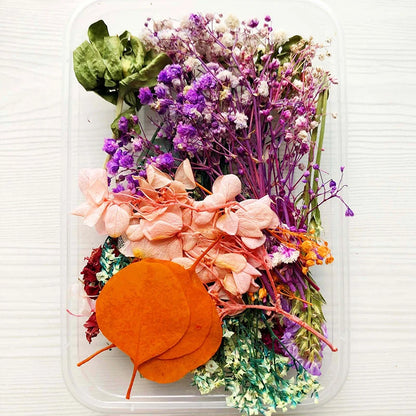 Dried Flowers Package For DIY Epoxy Decor Crafts Mixed Eternal Flowers And Leaves For DIY Aromatherapy Candles Cards Craft Decor