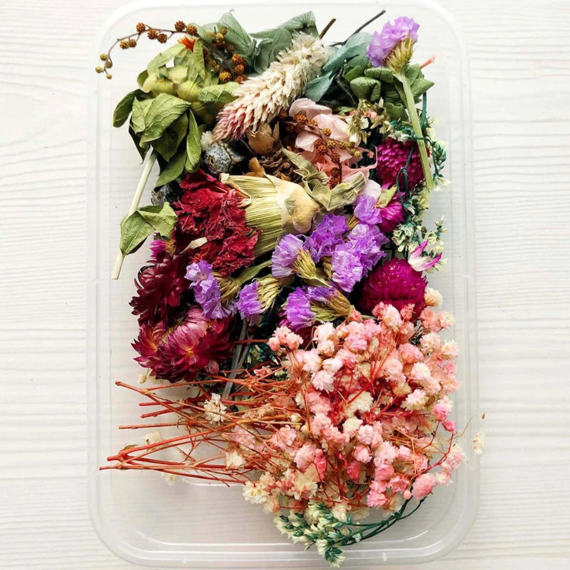Dried Flowers Package For DIY Epoxy Decor Crafts Mixed Eternal Flowers And Leaves For DIY Aromatherapy Candles Cards Craft Decor