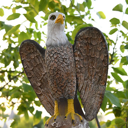 Eagle Decoy for Farm Yard Bird Against Pigeon Control