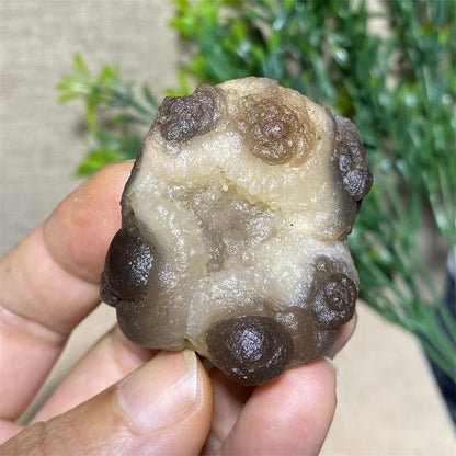 Rare Agate Geode Crystal Natural Stone Chakra Healing Meditation Reiki Wicca Wichcraft Raw Gems Minerl Home Decoratio