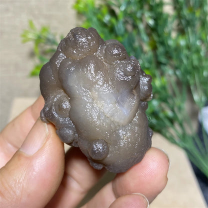 Rare Agate Geode Crystal Natural Stone Chakra Healing Meditation Reiki Wicca Wichcraft Raw Gems Minerl Home Decoratio