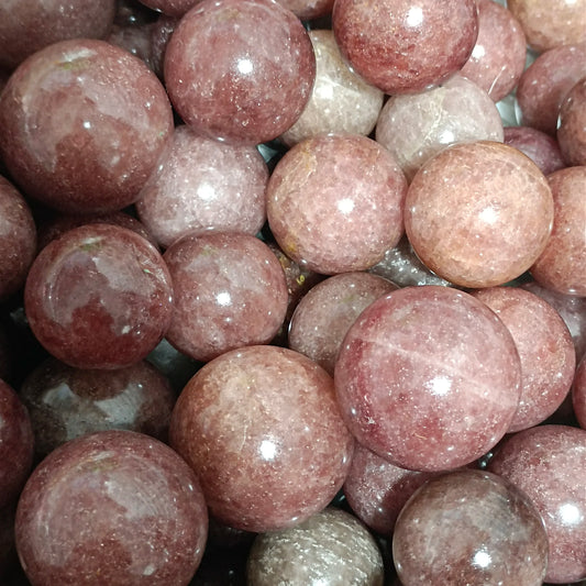 40665835372619|40665835405387|40665835438155|40665835470923