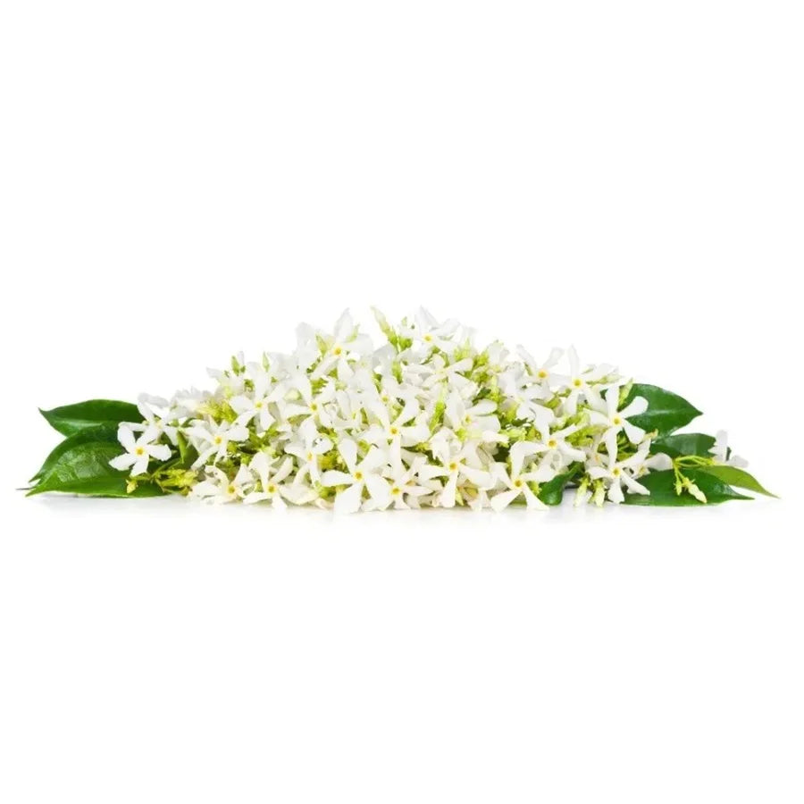 Neroli Essential Oil AKARZ Body Face Skin Care Spa Message Fragrance Lamp Aromatherapy Neroli Oil