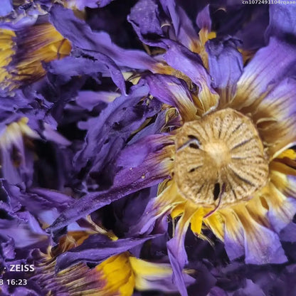 Natural Dried Lotus Flower Sachet Pillow Filling Organic Blooming Lotus For Beauty Bathing Wedding Candle Making New 50g/100g