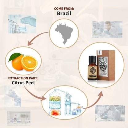 AKARZ Citrus Essential Oil Aromatherapy Enhance Immunity Physiological Effect Slimming Protect Hair Citrus Oil