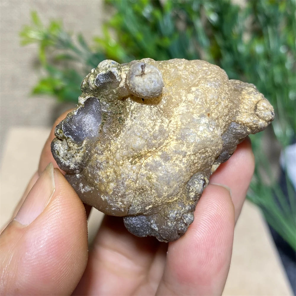 Rare Agate Geode Crystal Natural Stone Chakra Healing Meditation Reiki Wicca Wichcraft Raw Gems Minerl Home Decoratio