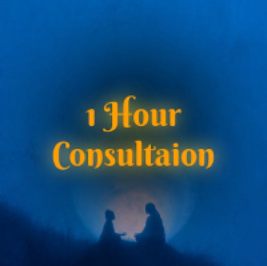 1 hour consultation