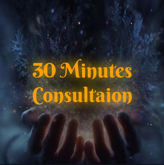 30 minutes consultation