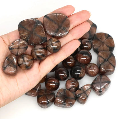 40665847005259|40665847038027|40665847070795|40665847103563|40665847234635|40665847267403